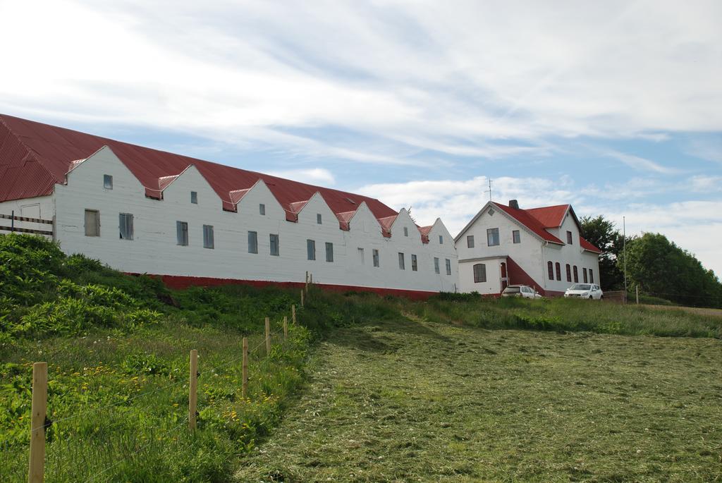 Helluland Guesthouse Saudarkrokur Exteriör bild