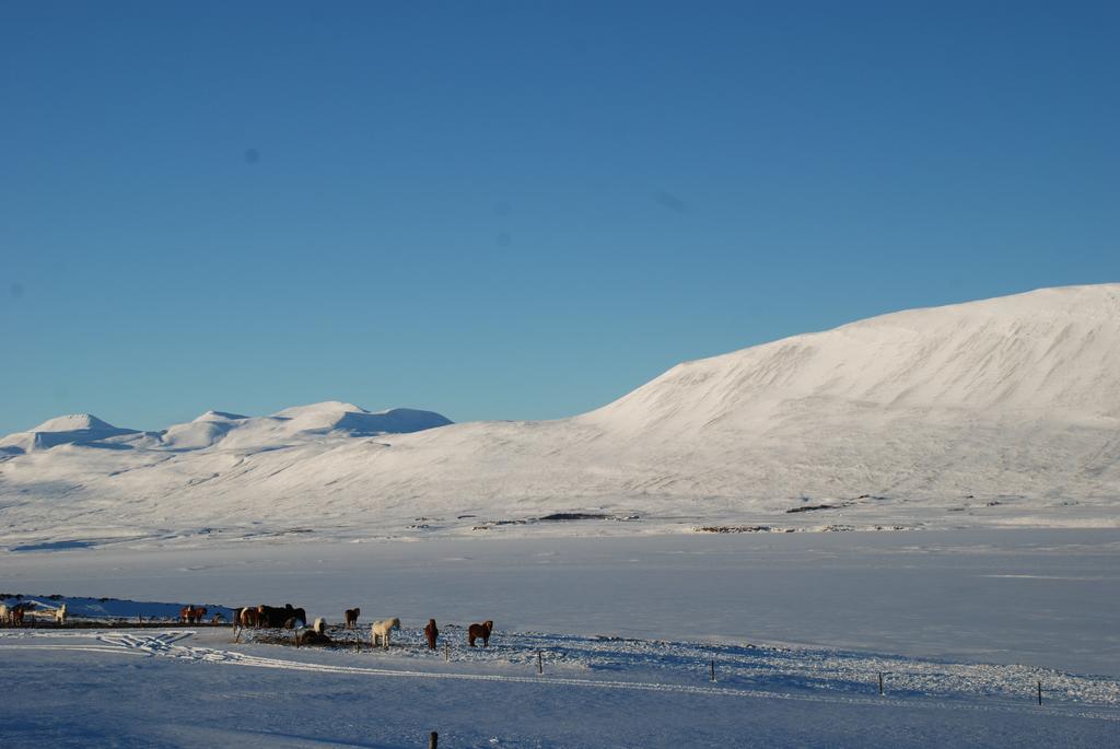 Helluland Guesthouse Saudarkrokur Exteriör bild