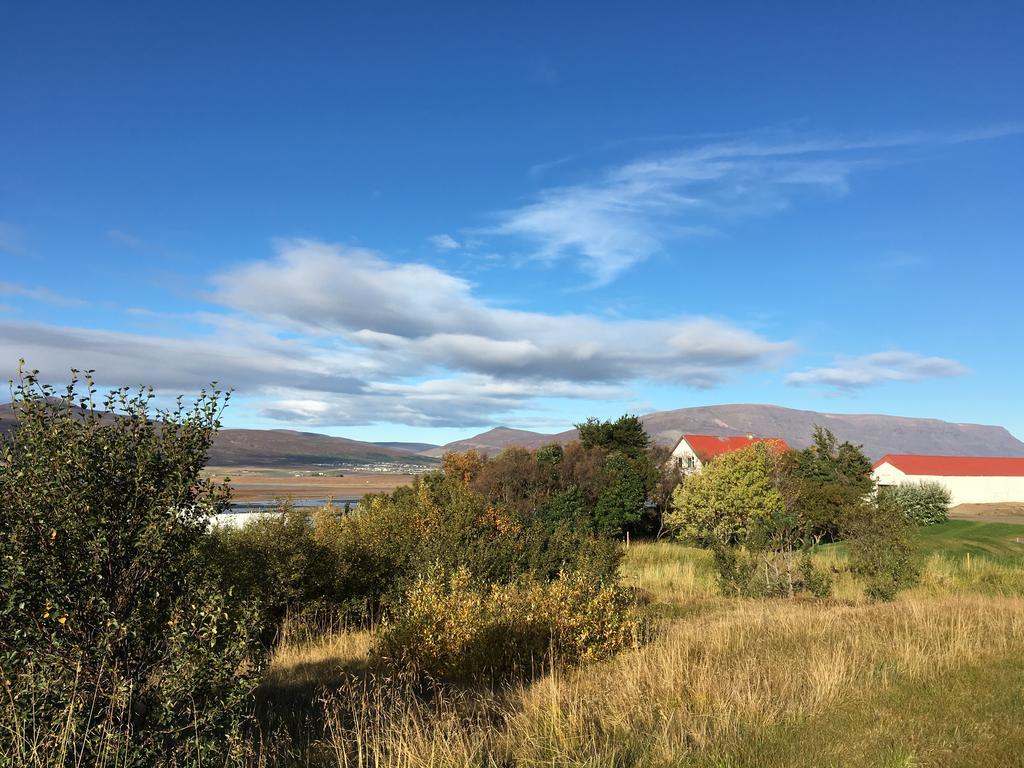 Helluland Guesthouse Saudarkrokur Exteriör bild